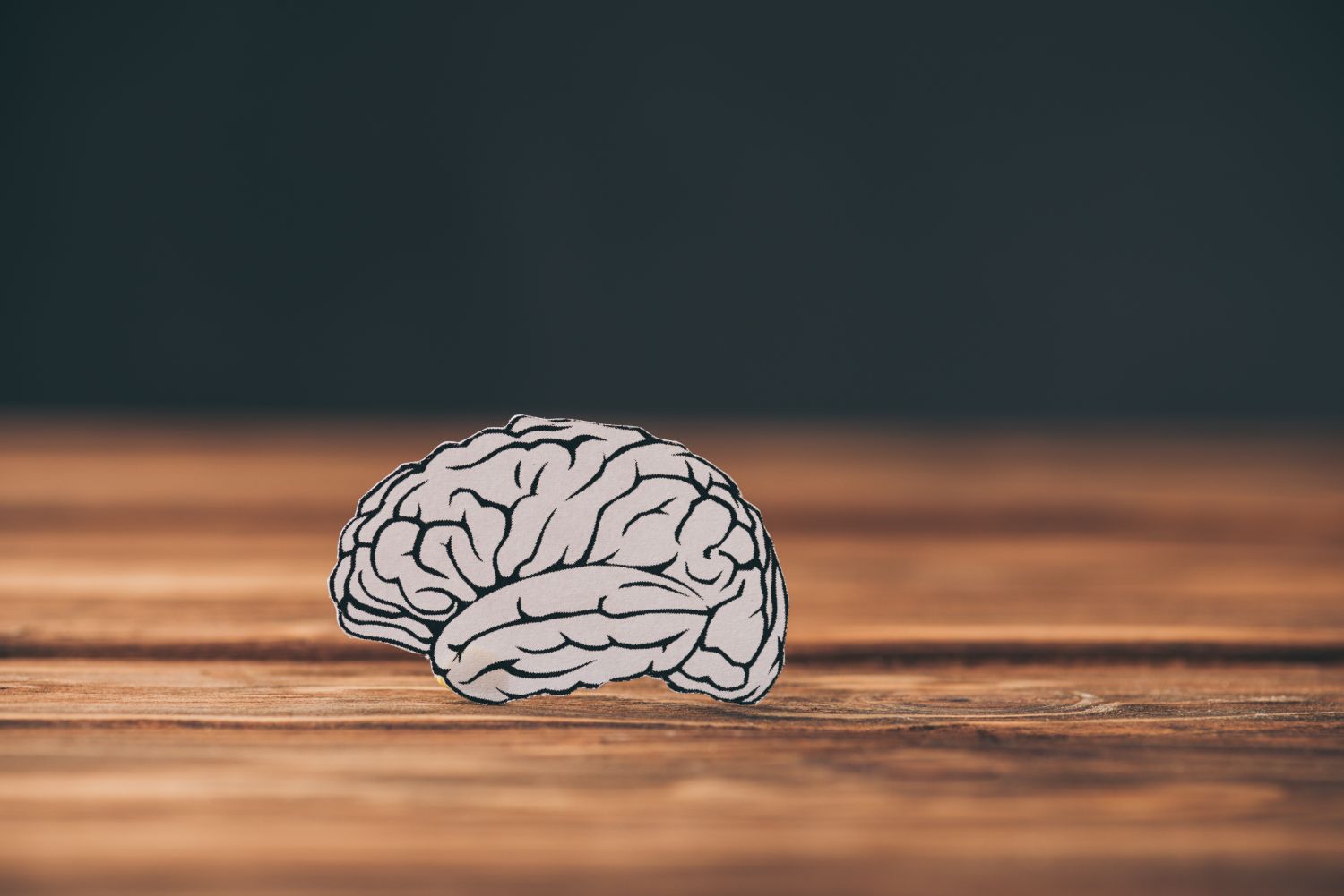 Paper Brain as Dementia Symbol