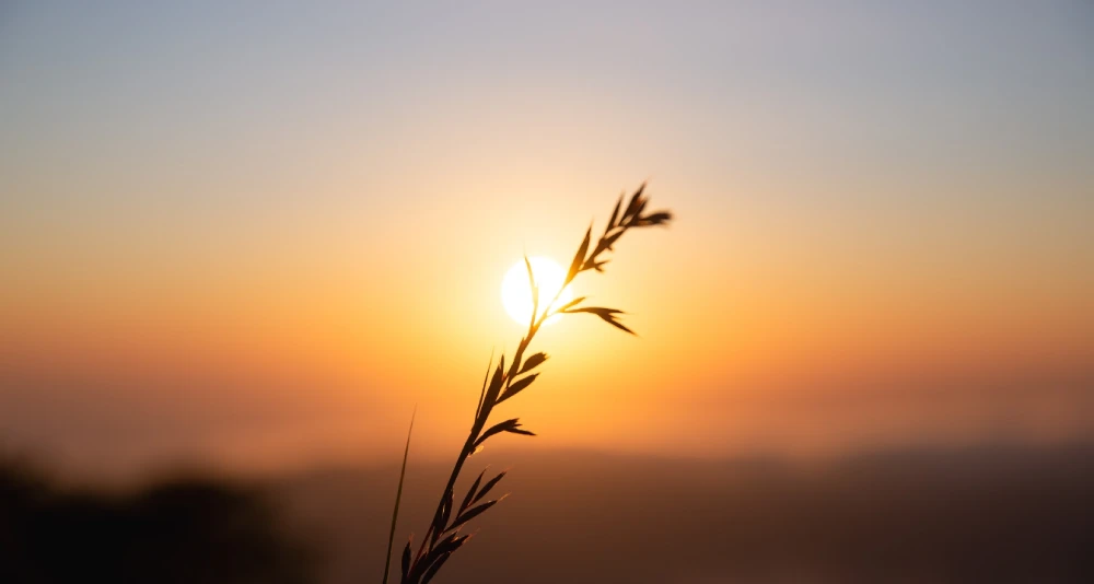 Warm Sunset