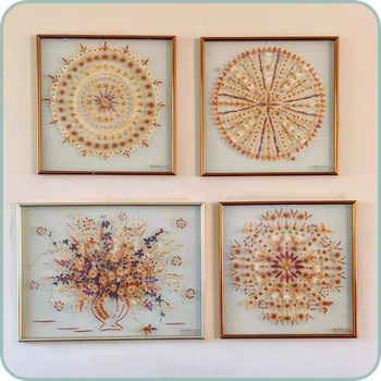 Framed Pressed Flowers